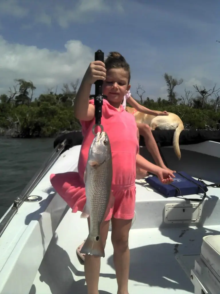 Redfish, Pink Dress, Sanibel & Captiva Islands & Fort Myers Charters & Fishing Guide Service.