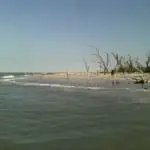 Shelling along Redfish Pass, North Captiva. Hurricane Irma, Power Back On, Shelling , Sanibel Fishing & Captiva Fishing, Sanibel Island, Thursday, September 14, 2017.