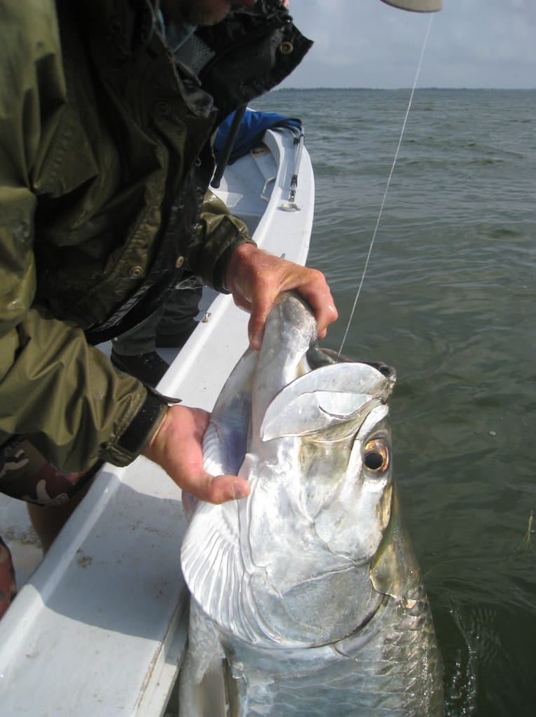 Captiva Fishing, Looking For A Big Tarpon, 4-23-15, Sanibel Fishing & Captiva Fishing & Fort Myers Fishing Charters & Guide Service.
