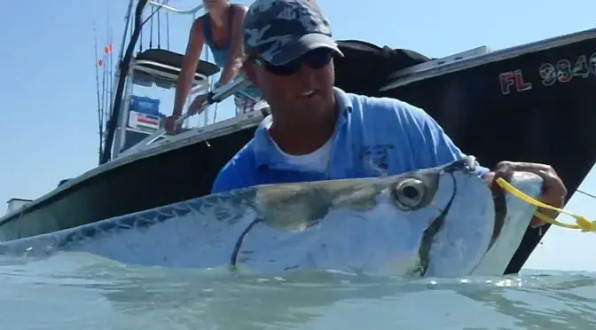 File Photo: Jimmy Burnsed and 250 LB Tarpon @ Boca Grande Pass In 2011. “Ding” Darling & Doc Ford’s Tarpon Tournament.