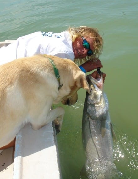 Big snook