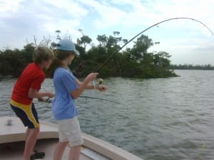 Redfish, mangroves & Captiva