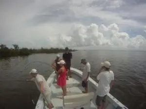 Redfish