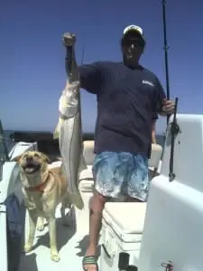 Nice Snook