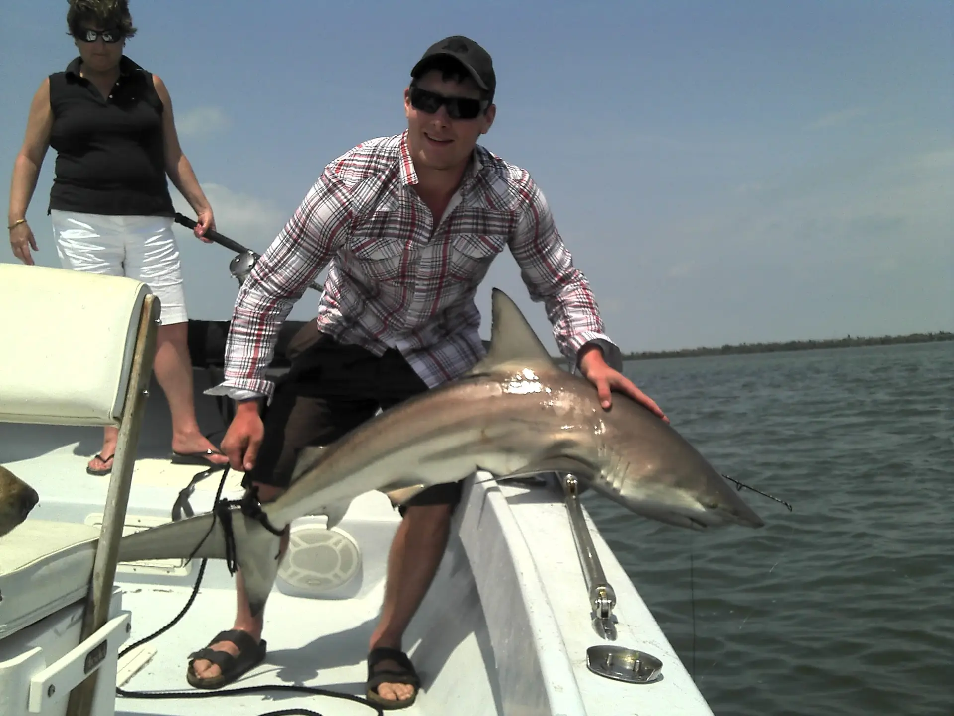 Black tip shark