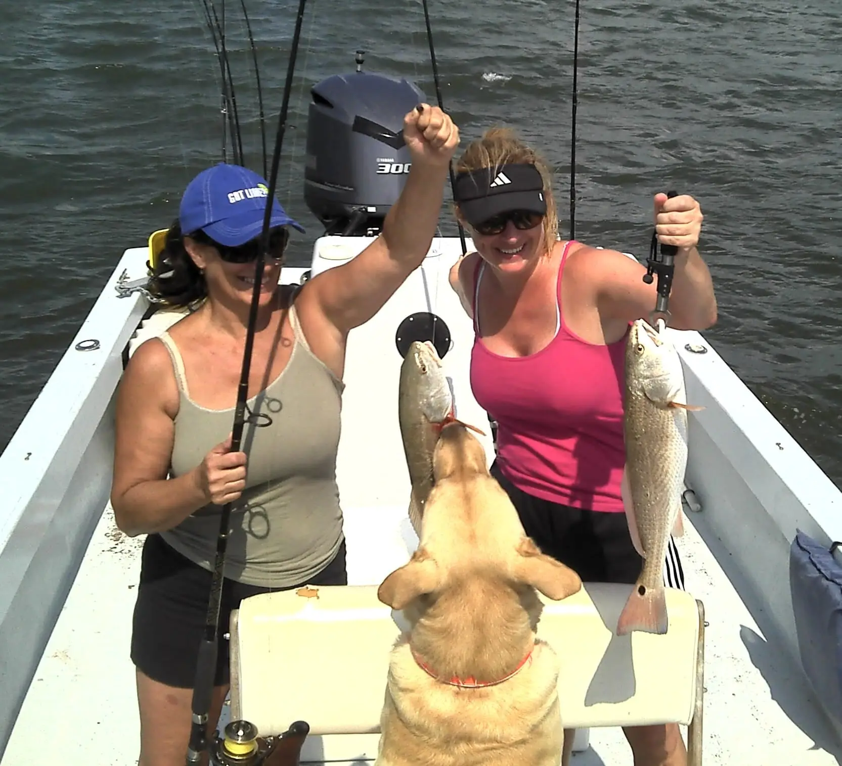 Redfish