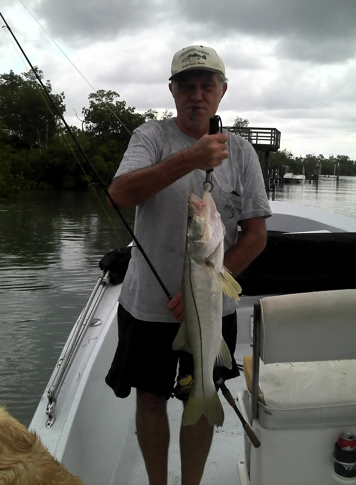 Snook, Captiva