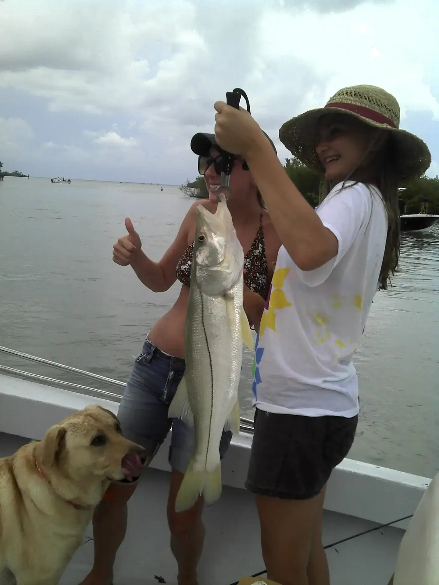 Nice snook