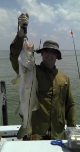 Big snook