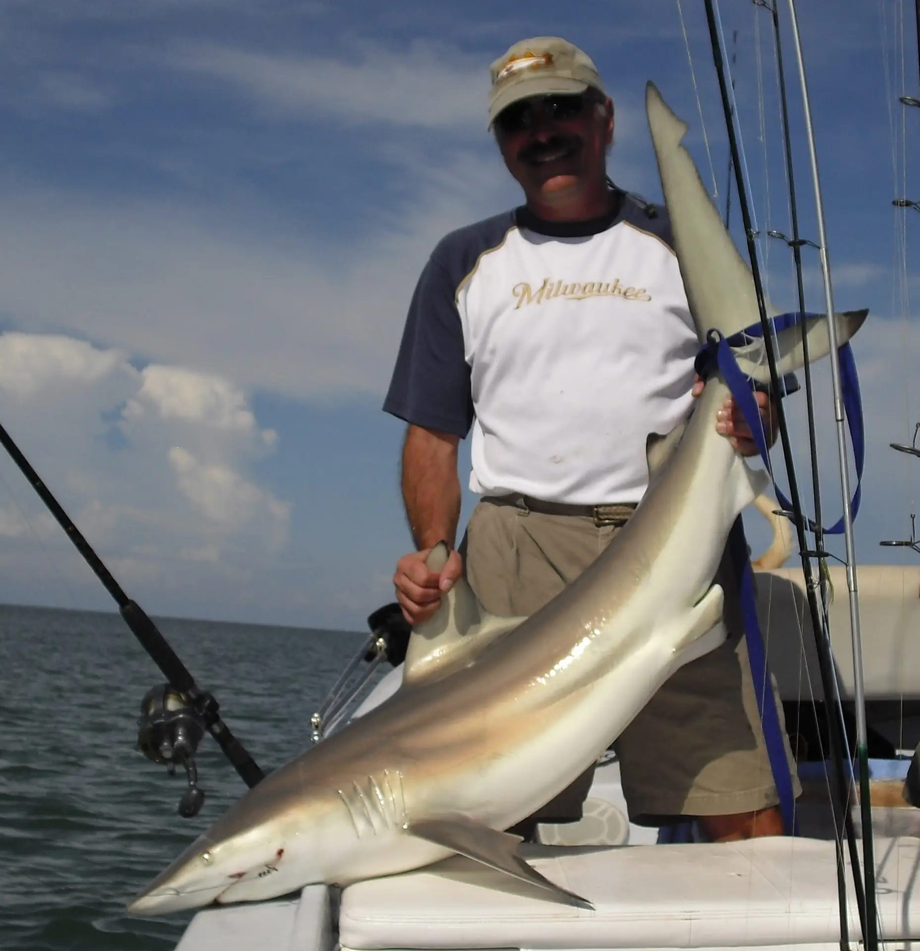 Shark