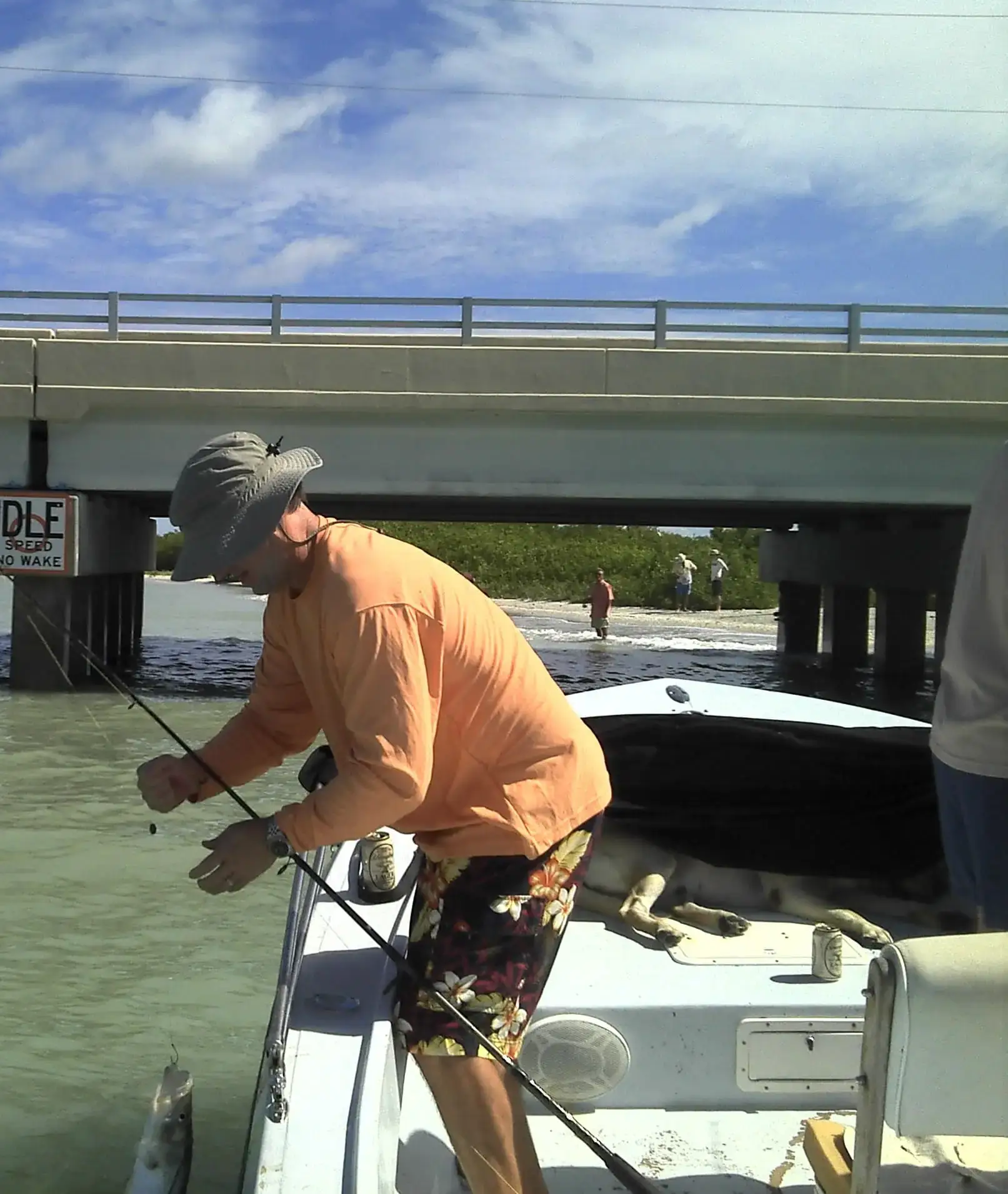 Snook