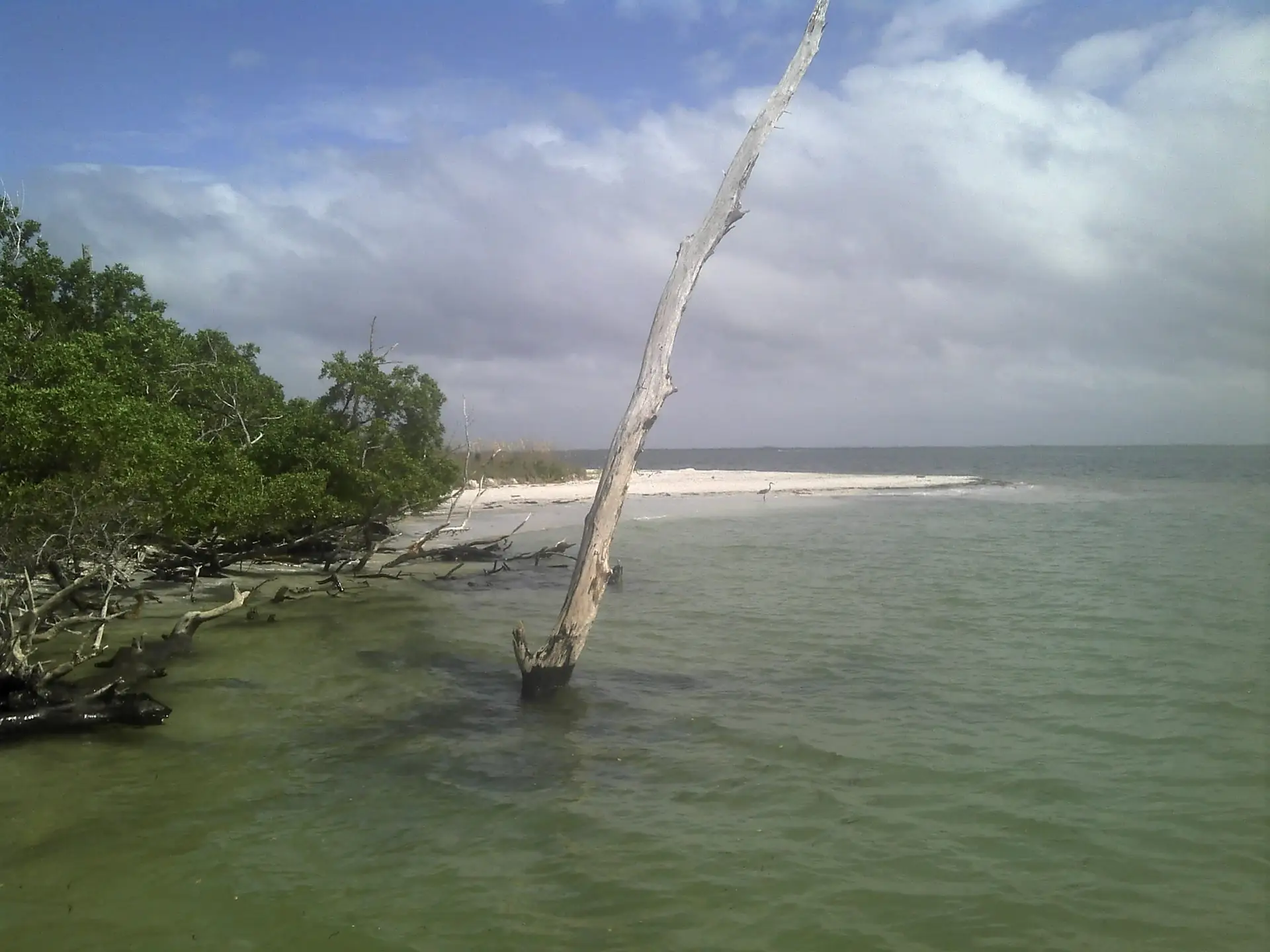 Mangroves & beach