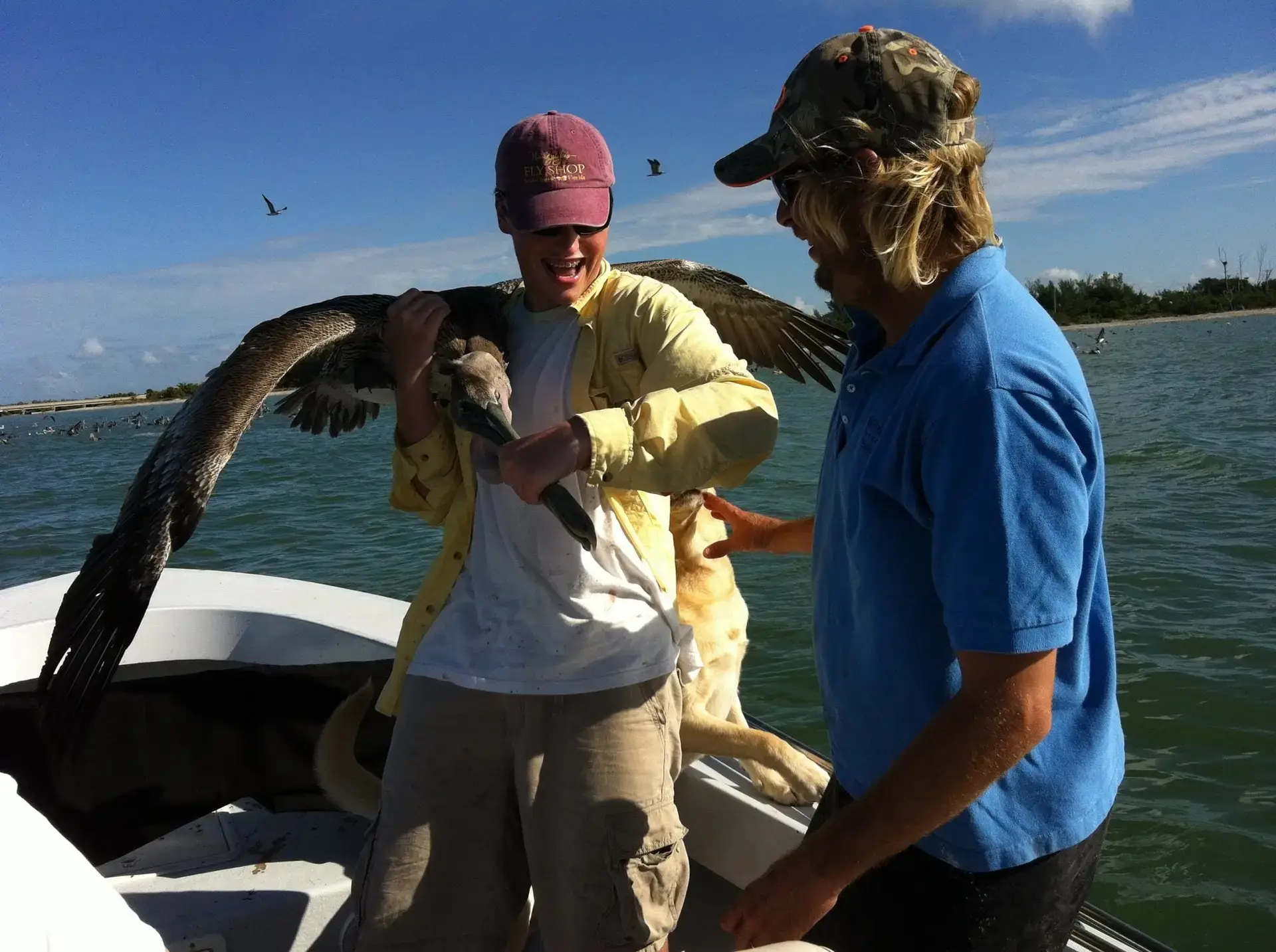 Charlie & Pelican
