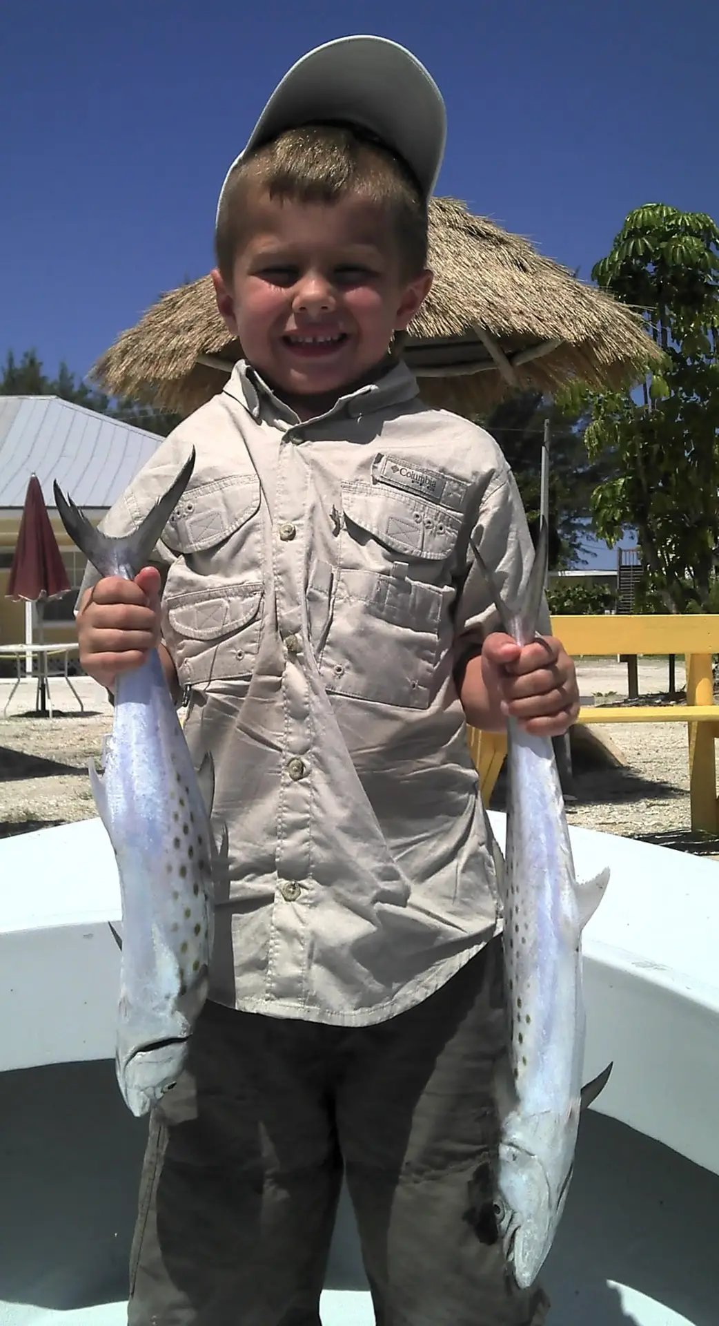 Spanish Mackerel
