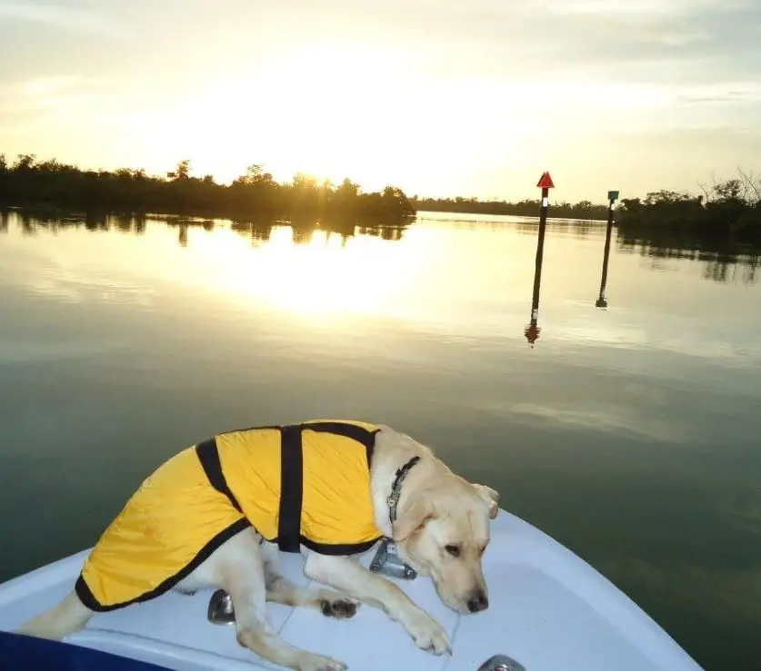Hank heading out at dawn