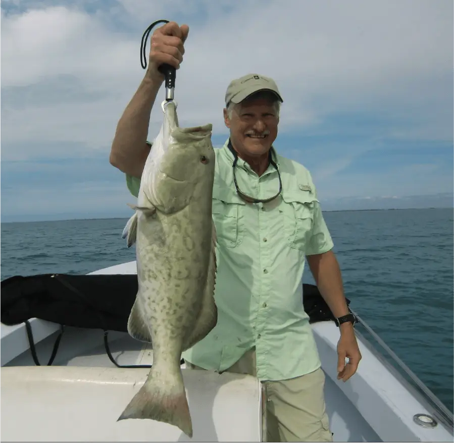 Nice Grouper