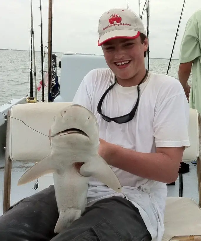 Small Black Nose Shark caught on Sanibel & Captiva fishing charters.
