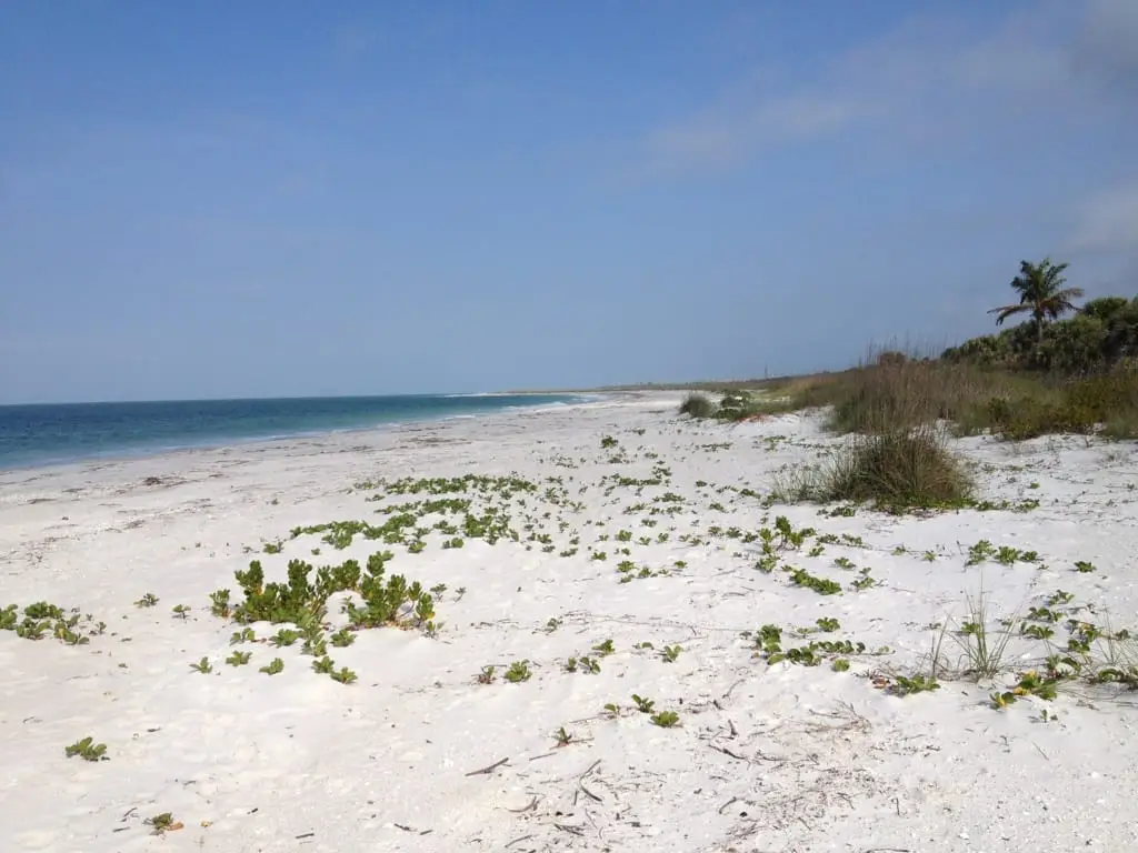 Cayo Costa Shelling Beach, March, 2012 - Sanibel & Captiva Charters.