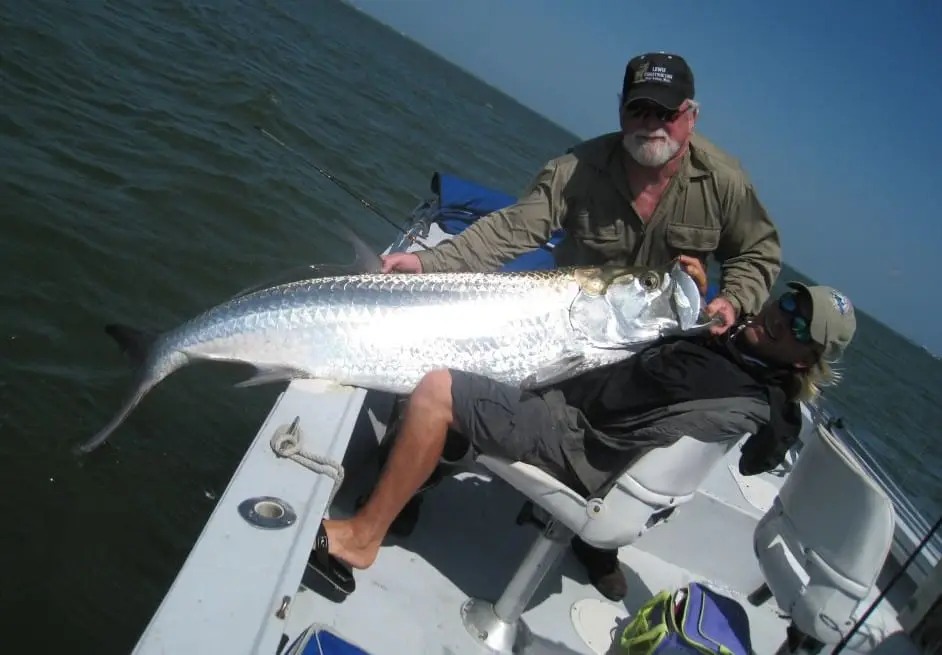 Tarpon caught on Captiva & Sanibel fishing charters