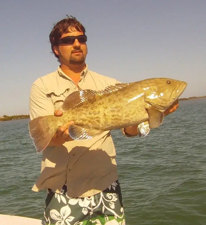 Great grouper on Sanibel & Captiva fishing charters