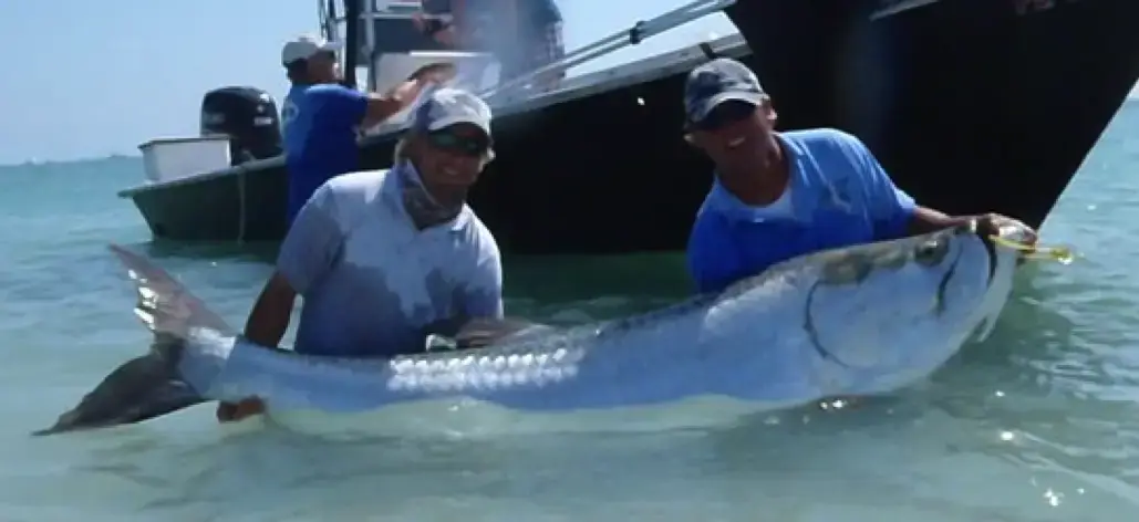 Huge tarpon we caught last year on Sanibel & Captiva charters