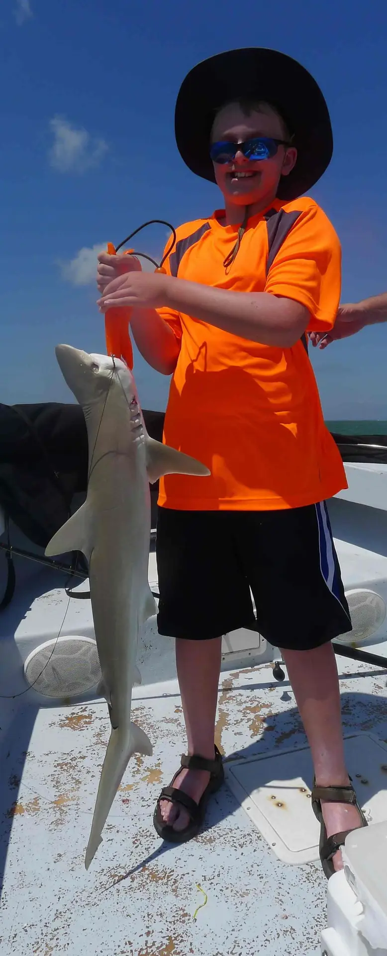 Sharks in Redfish Pass. Sanibel & Captiva charters