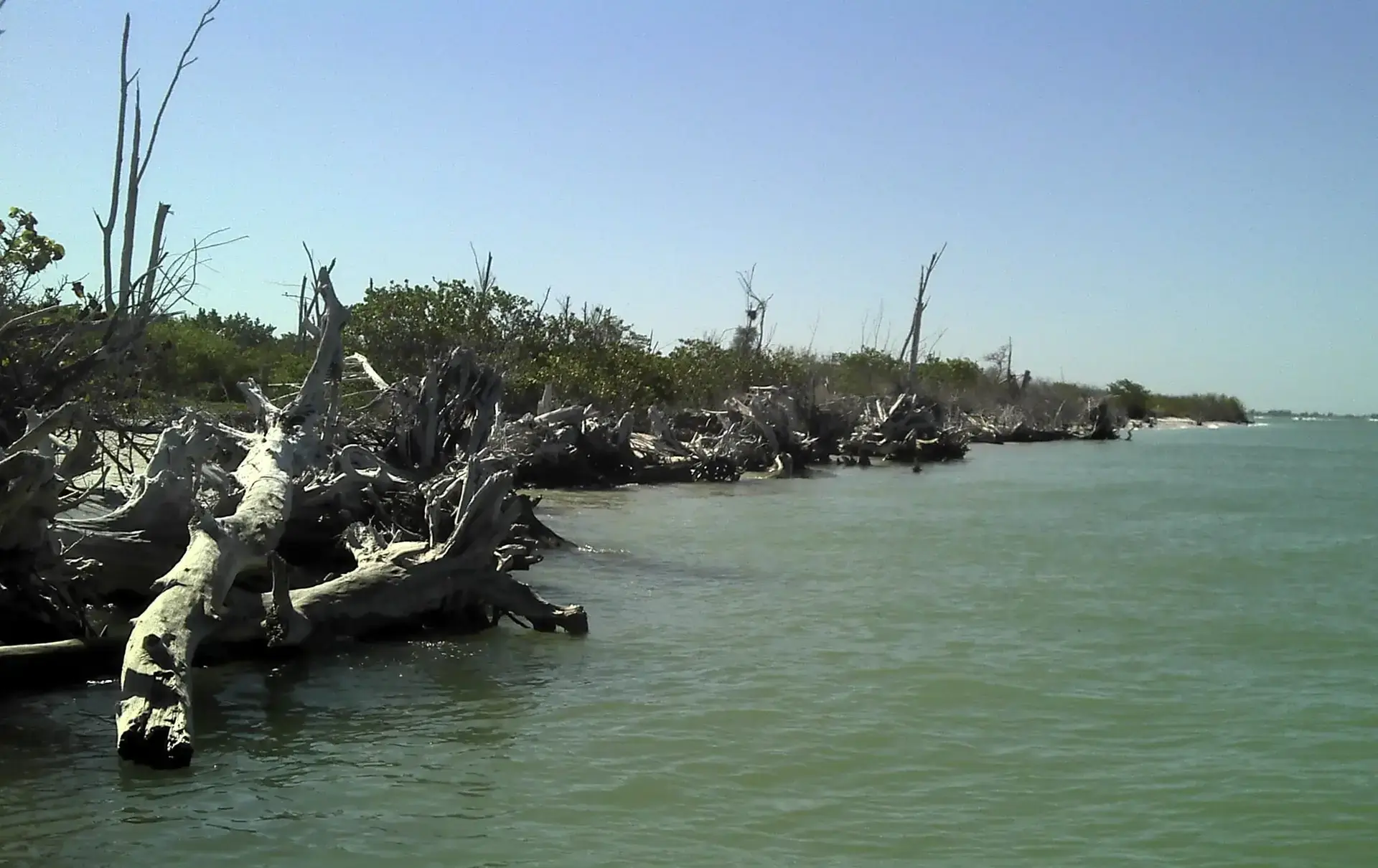 Boat still broken. Sanibel & Captiva charters