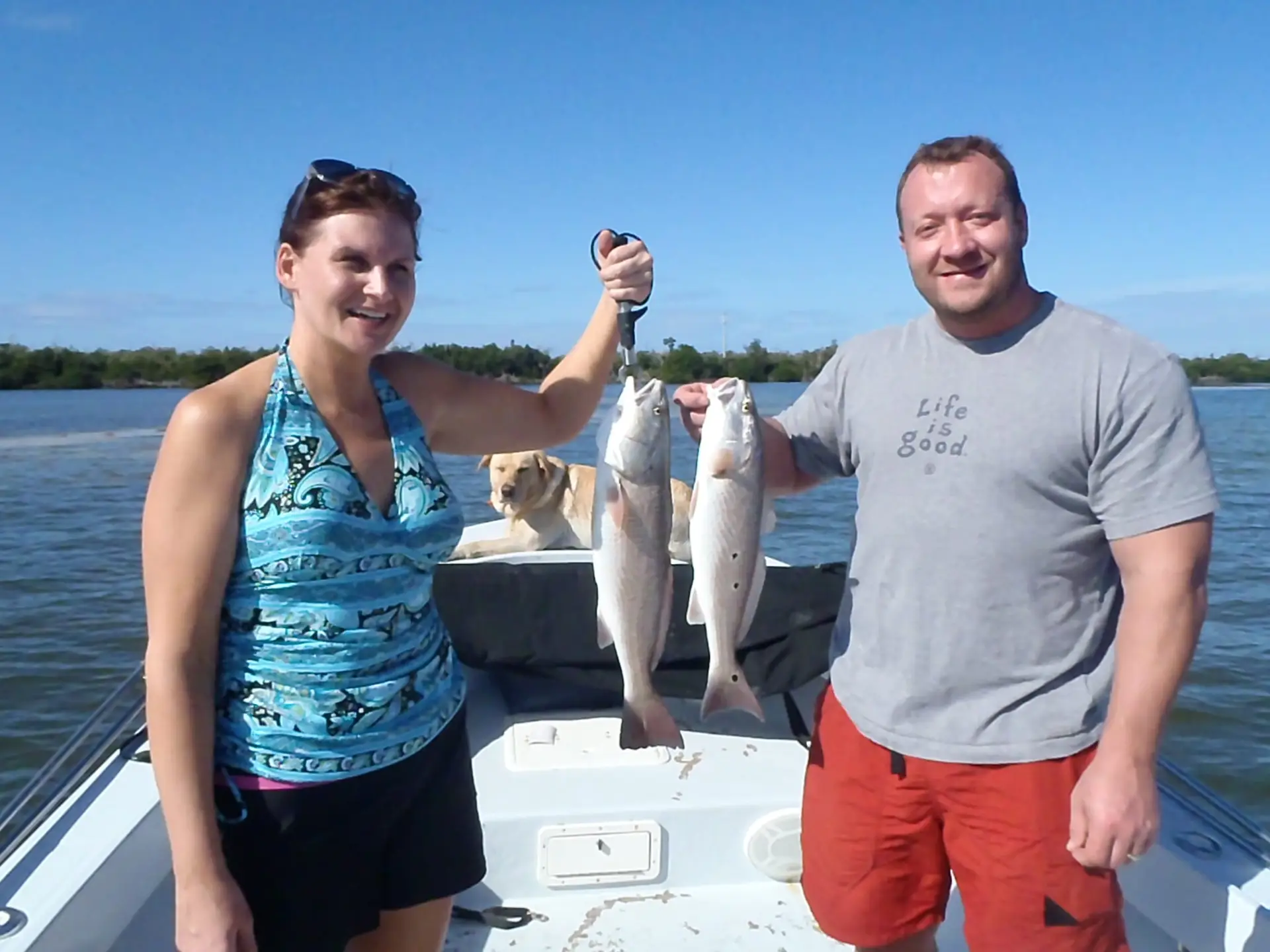 Caught two Redfish today on Sanibel & Captiva charters