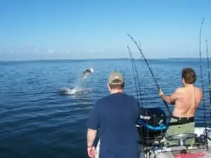 Tarpon jumping on Sanibel & Captiva charters!