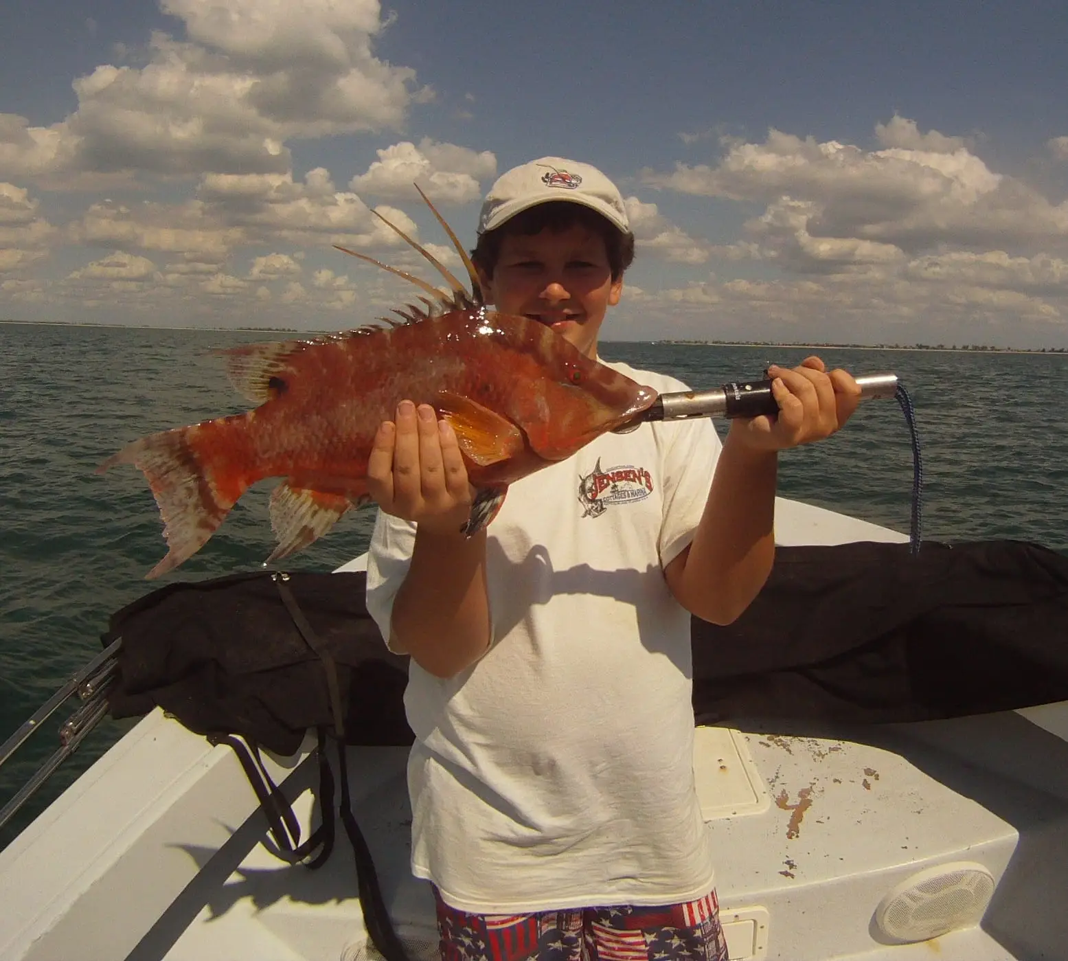 Hog Snapper caught on Sanibel & Captiva charters