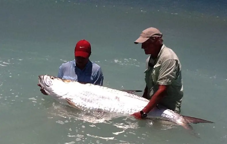 Tarpon caught at Boca Grand pass on Sanibel & Captiva charters