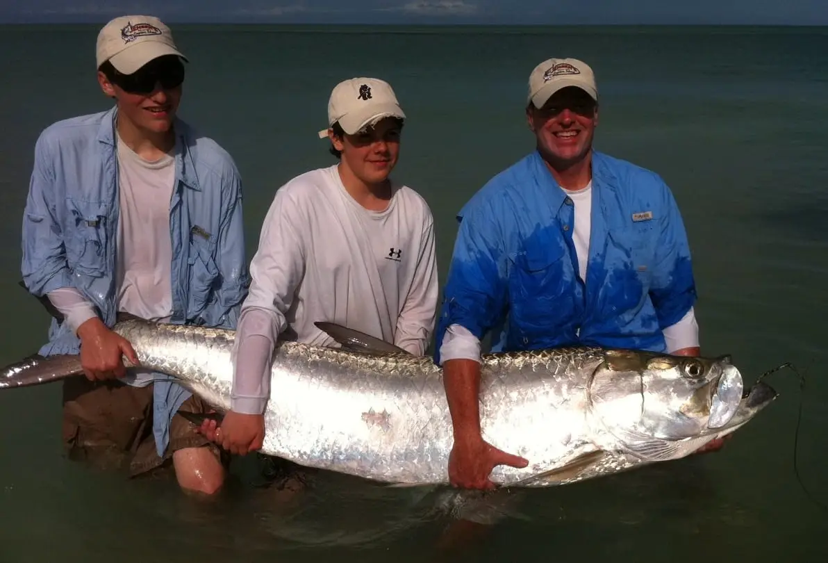 150 lb. Tarpon caught today at Boca Grand pass on Sanibel & Captiva charters