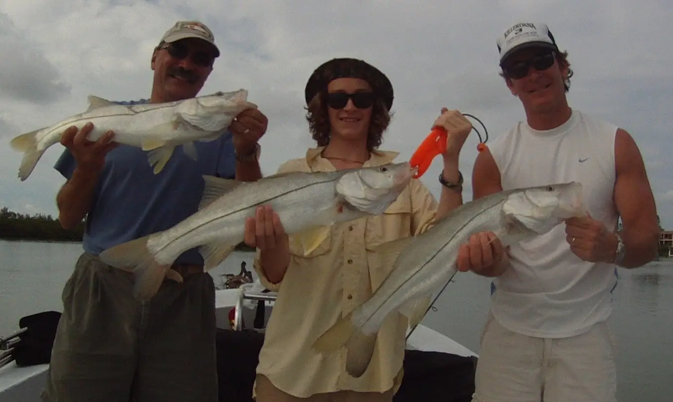 Three snook at once! Sanibel & Captiva charters