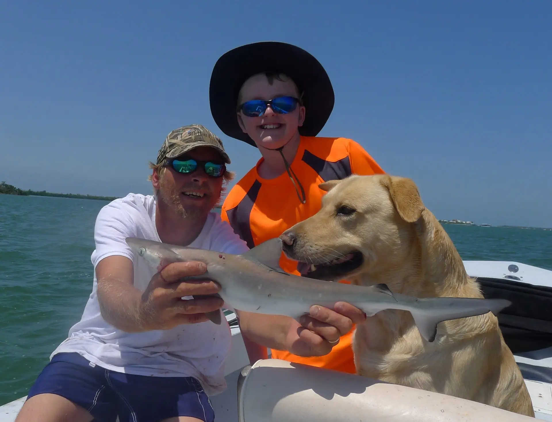 Little shark caught and released on Sanibel & Captiva charters!