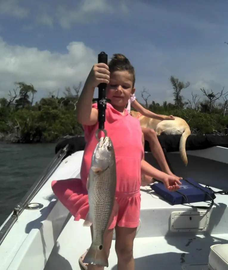 Redfish caught on Sanibel & Captiva charters.