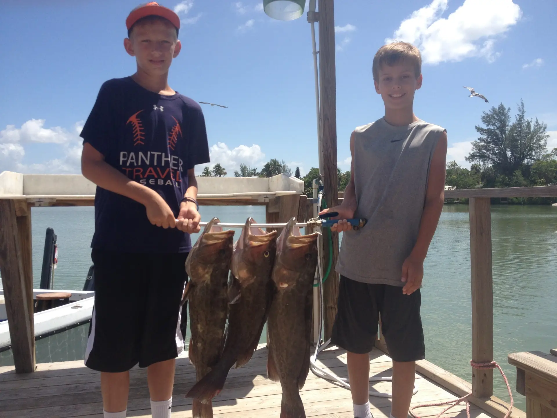 Grouper caught on Sanibel & Captiva charters!
