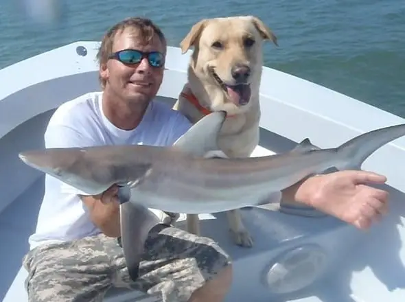 Little Black Tip Shark caught on Sanibel & Captiva charters!