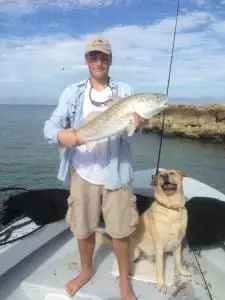 Redfish caught in Blind Pass on Sanibel & Captiva charters!