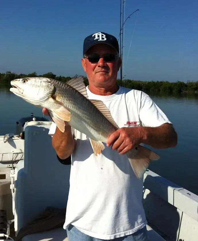 Tom, Redfish, Oyster Bar, Bayside, Blind Pass, Thanksgiving Week, Sanibel & Captiva Islands Charters & Fishing Guide Service.