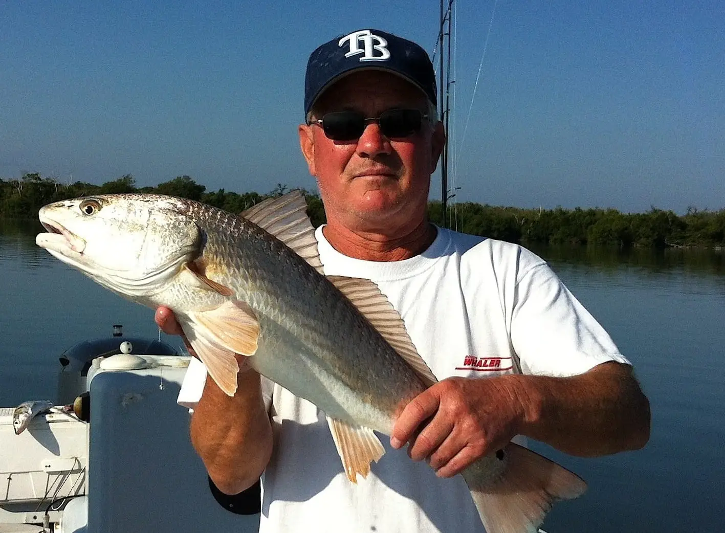 Tom, Redfish, Oyster Bar, Bayside, Blind Pass, Thanksgiving Week, Sanibel & Captiva Islands Charters & Fishing Guide Service.