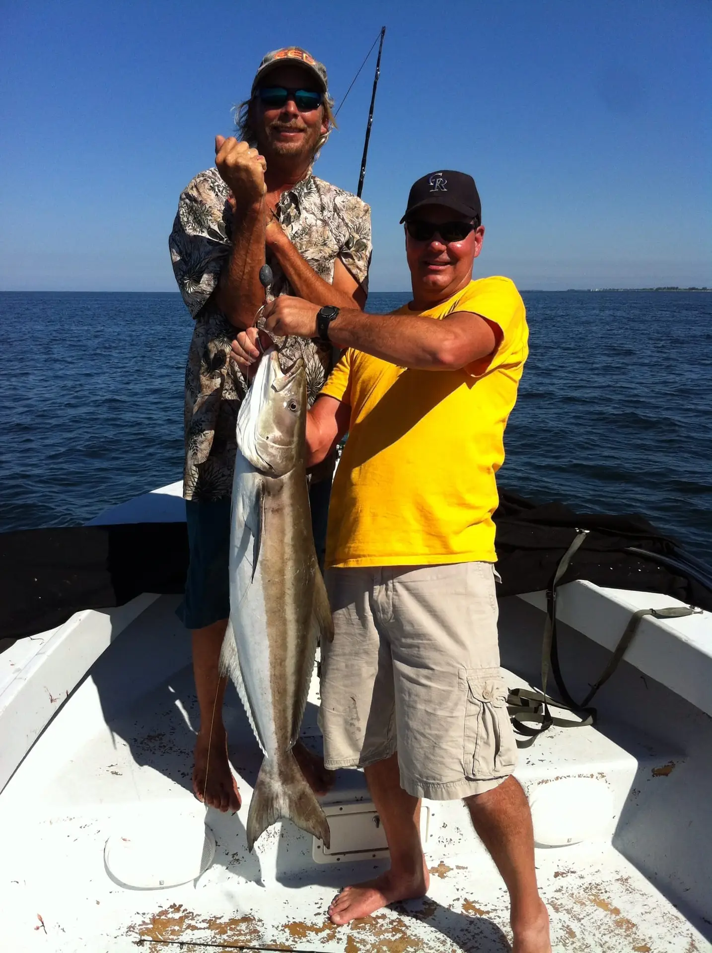 Cobia, 9-1-14, Sanibel & Captiva Islands & Fort Myers Charters & Fishing Guide Service.
