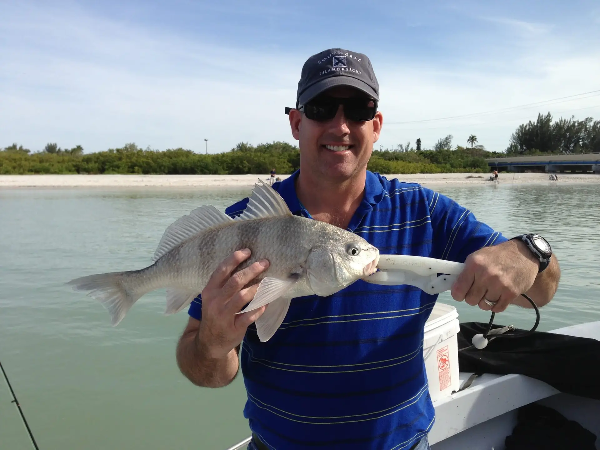 Black Drum caught in Blind Pass on Sanibel & Captiva charters!
