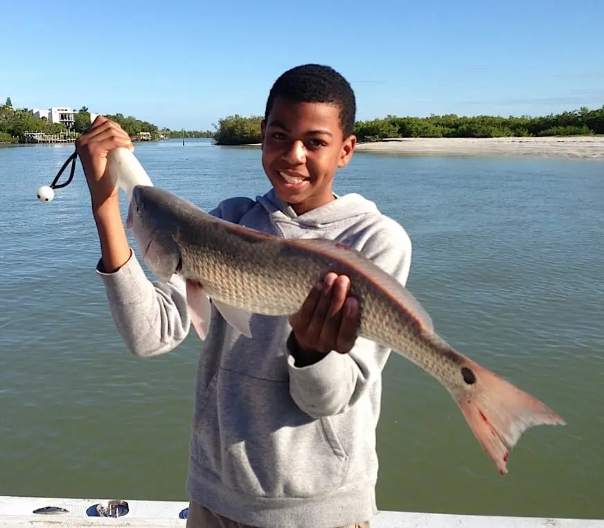 Young Fisherman, Blind Pass, Redfish, Sanibel & Captiva Islands & Fort Myers Charters & Fishing Guide Service.