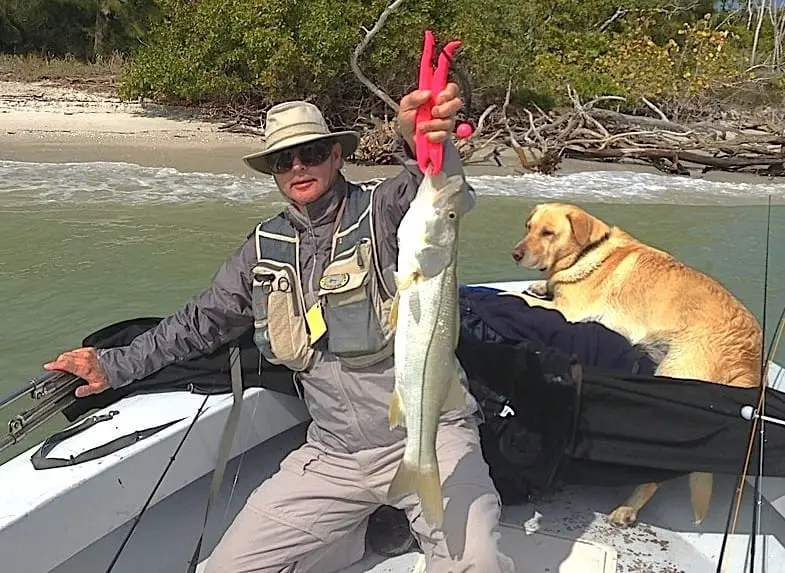 Snook caught in Redfish Pass on the North Captiva side on Sanibel & Captiva charters!