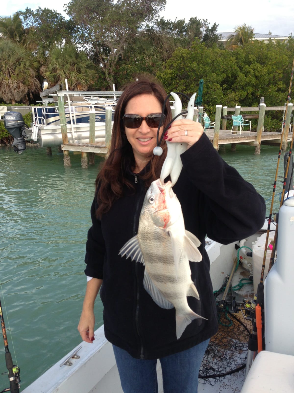 Black Drum caught in Blind Pass on Sanibel & Captiva charters!