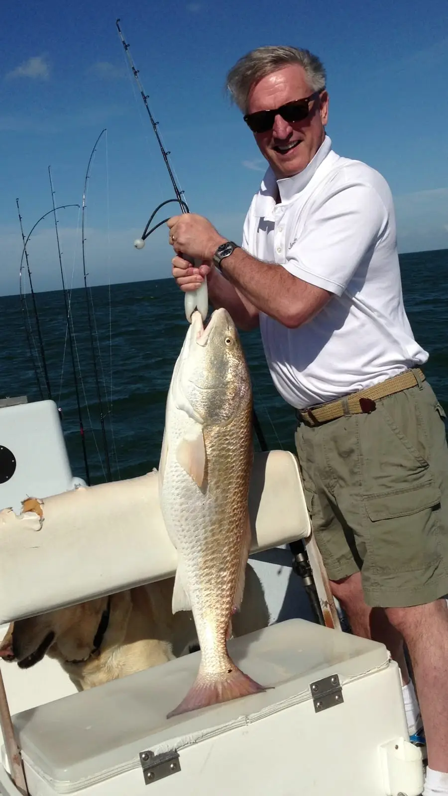 Huge Redfish caught on Sanibel & Captiva charters!