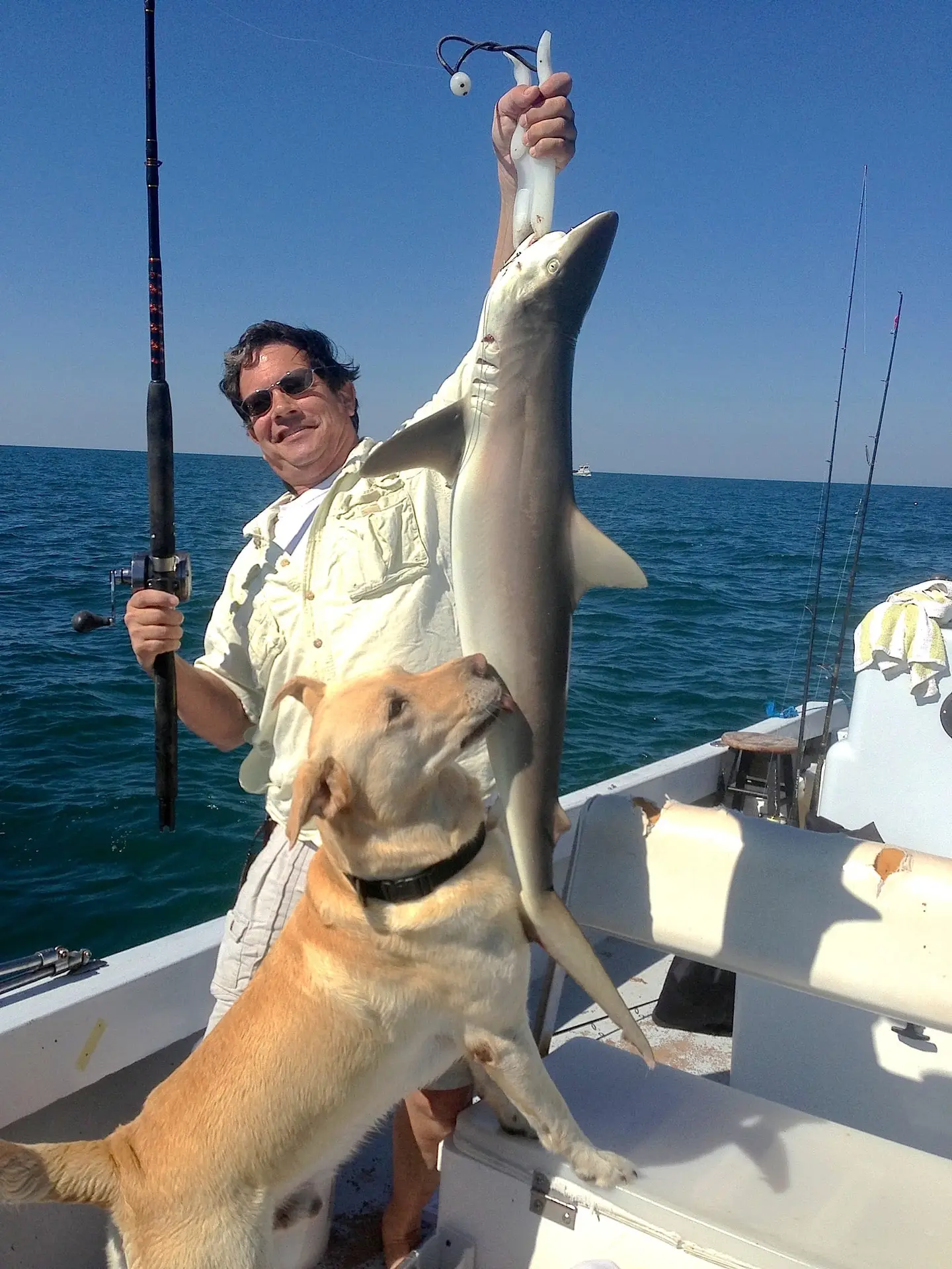 Shark caught offshore of Captiva on Sanibel & Captiva charters!