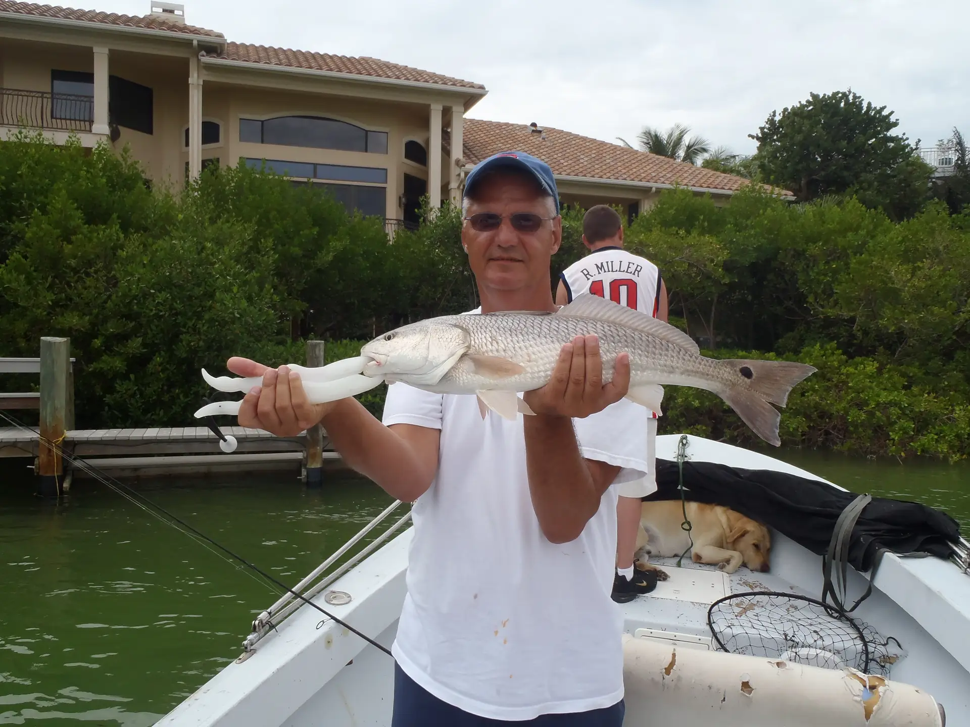 Redfish caught in Blind Pass on Sanibel & Captiva charters!