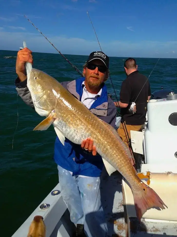 Massive Redfish caught offshore of Captiva Island on Sanibel & Captiva charters!