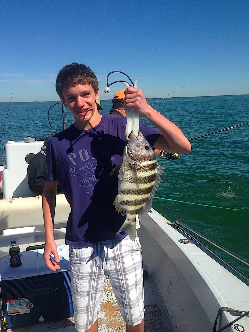 Sheepshead caught offshore on Sanibel on Sanibel & Captiva charters!